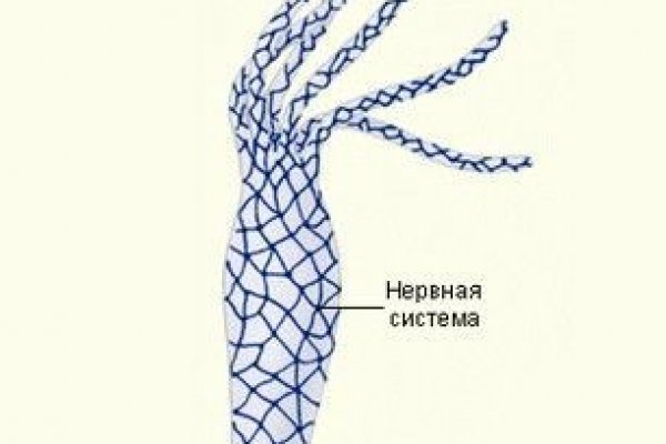 Сайт kraken зеркала
