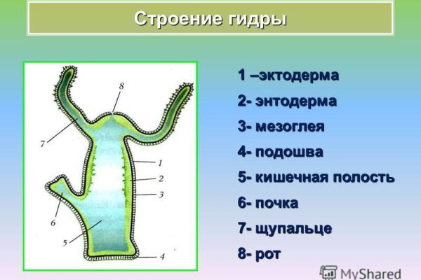 Как купить через кракен