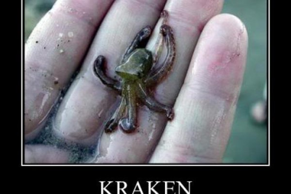 Kraken 1 2