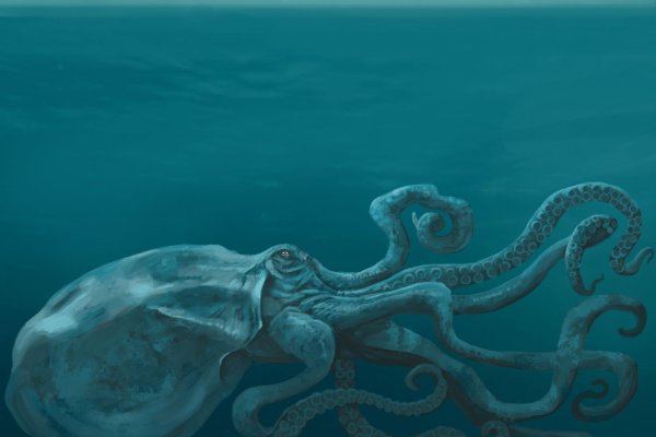 Kraken russia